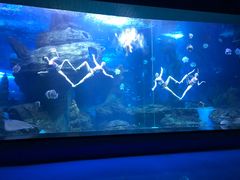 -多彩贵州城极地海洋世界