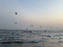 -老虎石海上公园