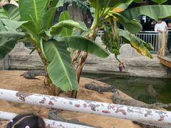 -石家庄市动物园