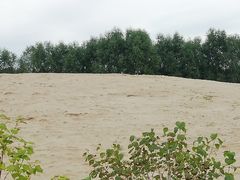 -东郊湿地公园