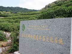 -龙井村