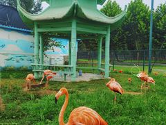 -秦皇岛野生动物园