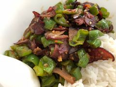 青椒炒瘦肉条-霸碗盖码饭(长沙河西通程店)