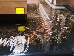 -新疆尊茂银都酒店