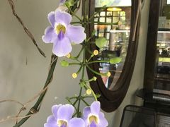-莓园冰淇淋店
