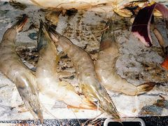 -比亚森自助烤肉料理(裕华店)