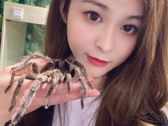 -藦茜花园宠物主题亲子互动体验馆(国顺东路店)