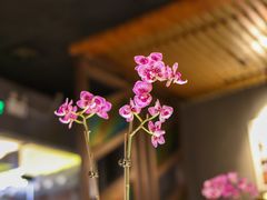-牛鲜胜·潮汕牛肉自助火锅(番禺市桥店)