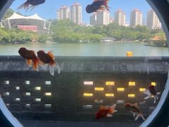 -珠海圆明新园
