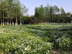 -锦屏公园