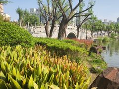 -大宁公园