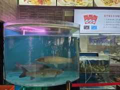 -红日饭店(裕隆三路店)