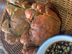 -渔娘蟹庄(阳澄湖莲花岛店)