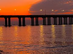 -宝安西湾红树林湿地公园