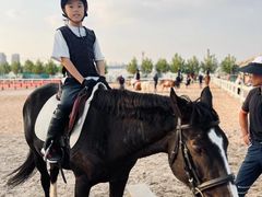 -全聚德(蓝山店)