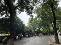 -白沙古井