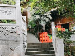 -铁山坪森林公园