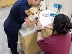 -美联众合爱康动物医院•复杂内科•肿瘤科•牙科•腔镜诊疗中心