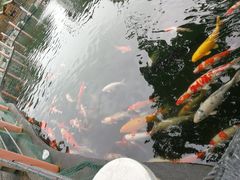-湖鲜楼