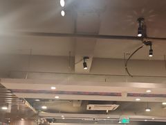 -甘家界牌柠檬鸭(青山店)