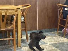 -晓马鸭店(新芜路店)