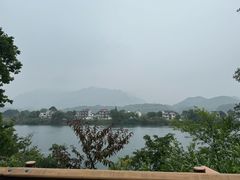 -黄牛肉馆·皖南土菜