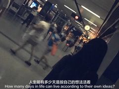 -仙踪林(惠润广场店)