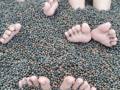 -三江森林温泉度假区