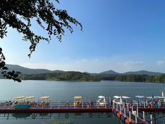 -佛手湖郊野公园