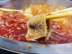 -五星桥原切肥牛火锅(怀德桥店)