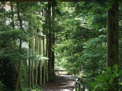 -凤栖山