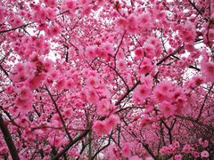 -白塘生态植物园