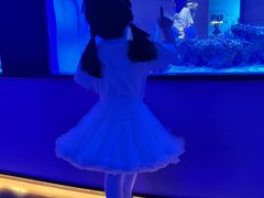 -上和臻品中国菜(花园街店)