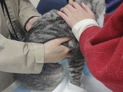 -福州肆爪动物医院