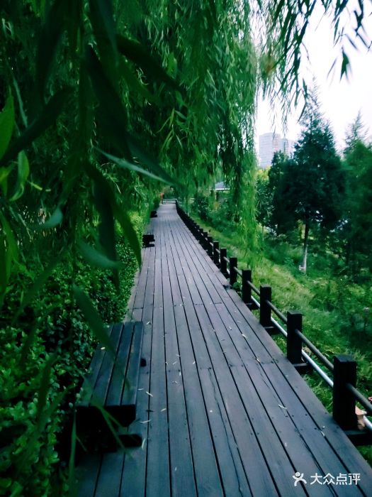 凉水河公园三区图片 - 第1张