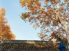 -莹珠阁·私房菜