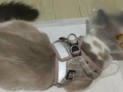 -达爱动物医院·犬猫分区·CT·复杂眼科(远洋山水分院)