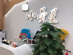 -小荧星艺校(大宁分校)
