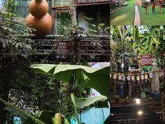 -呀路古热带植物园