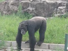 -哈尔滨北方森林动物园
