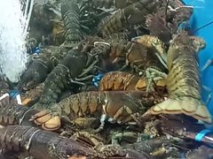 -鲜味食族水产·海鲜餐厅