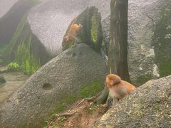 -大围山国家森林公园