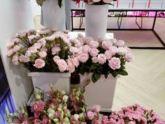 -Dior迪奥(上海世茂广场店)