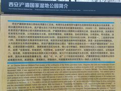 -西安浐灞国家湿地公园