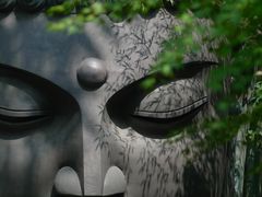 -杭州植物园