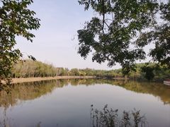 -塘沽森林公园