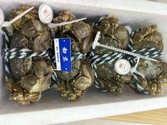 -祥鹤龙虾螃蟹
