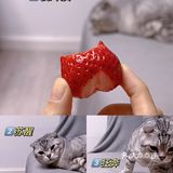 原來喝咖啡也會讓人醉生夢死！