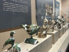 -宁夏博物馆