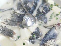 -全乐鱼馆·淳牌有机鱼直营店